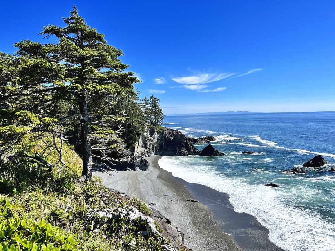 Best Hiking on Vancouver Island