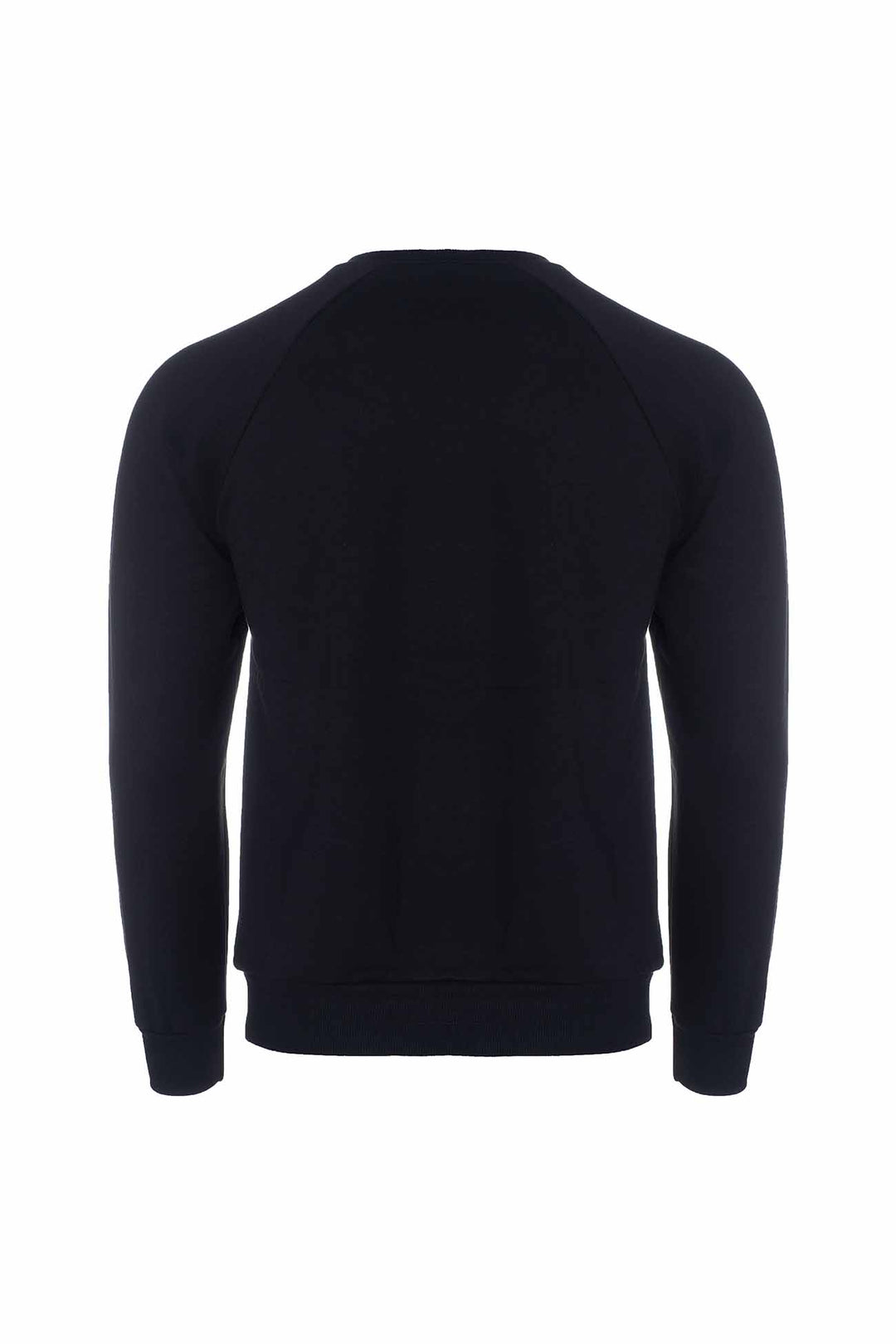 Men's Organic Raglan Sweatshirt